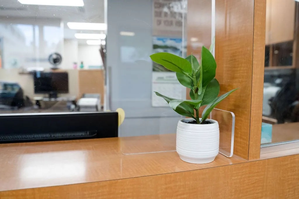 The front desk, with a potted plant on the counter